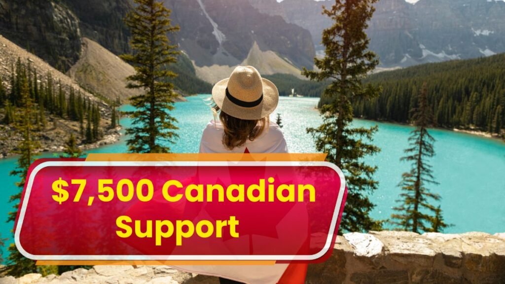2025 Driving Law Changes in Canada: Full Guide for All Vehicle Owners