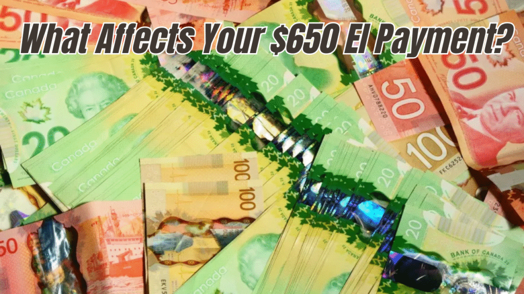 CRA to Provide $650 Weekly Employment Insurance in June 2025 – Are You Eligible?