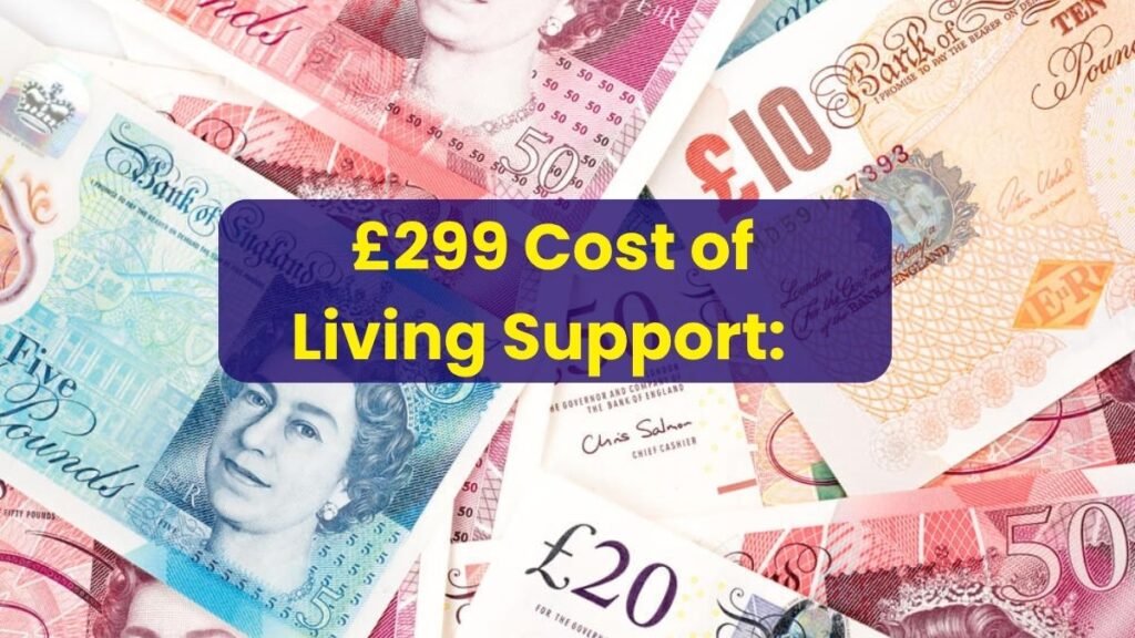 Who Gets the £299 DWP Payment? Full Guide on Eligibility and Missing Payment Resolution